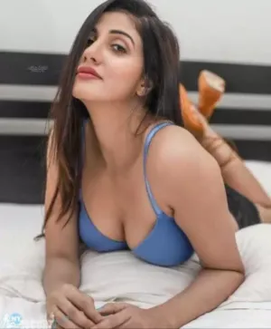 Delhi Ncr Indipendent Call Girls Modal Collage Girl