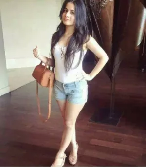 New Delhi Escort Safe And Secure High Profile