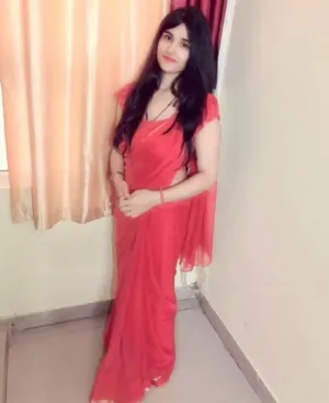 South East Delhi Payment Cash Low Price